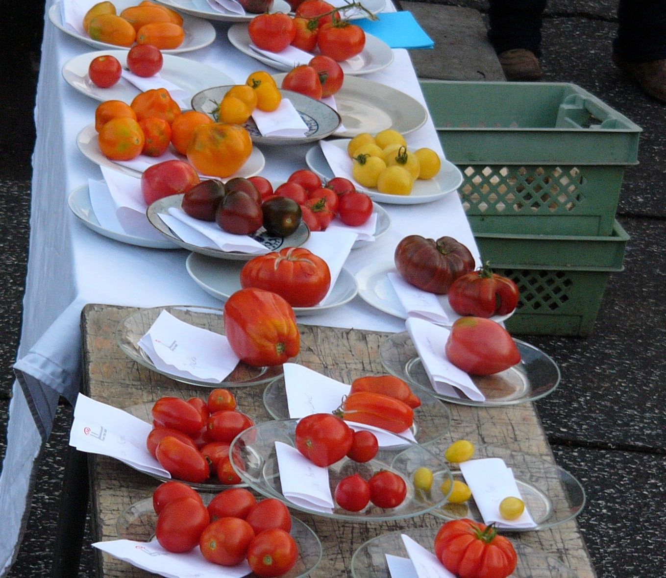 Tomatenverköstigung auf dem Gartendeck